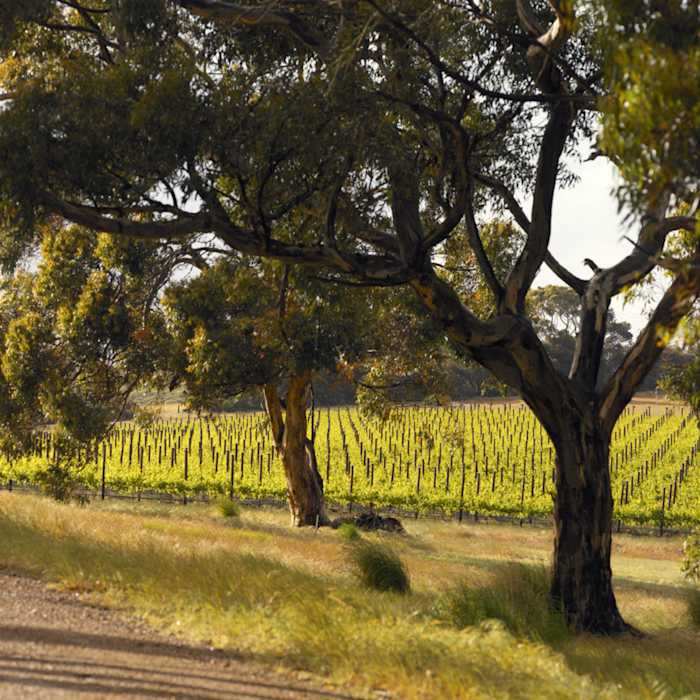 ISL04133 - GALLERY.jpg